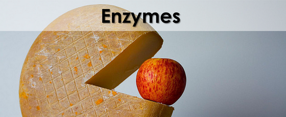 Enzyme Supplements: Harness Life's Essential Ingredient