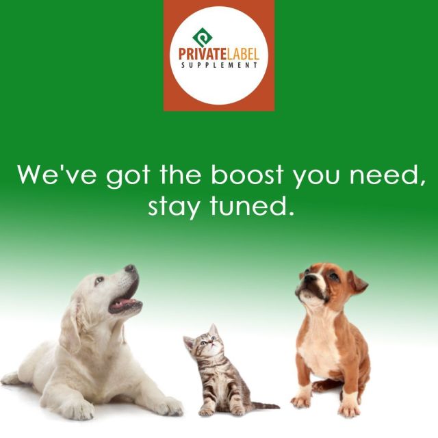 Our furry friends are onto something BIG, and they're not letting the cat (or dog) out of the bag just yet.

Stay tuned for an exciting surprise because we've got the boost you need coming your way.

Can you guess what's in store? Keep those paws on standby! 

#PLSPrivateLabel #PrivateLabelSupplements #PrivateLabelSupplementManufacturing #PrivateLabelHealthSupplements #SellingSupplements