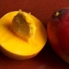 African Mango Complex Extract Supplement